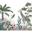 DAY COLOR JUNGLE