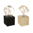 FLORIA LIGHT