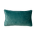 FYN