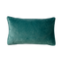 FYN