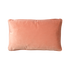 FYN
