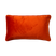 FYN