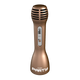 Enceinte Dion Gold