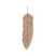 ZOÉ