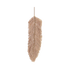 ZOÉ