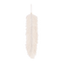 ZOÉ