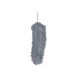 ZOÉ
