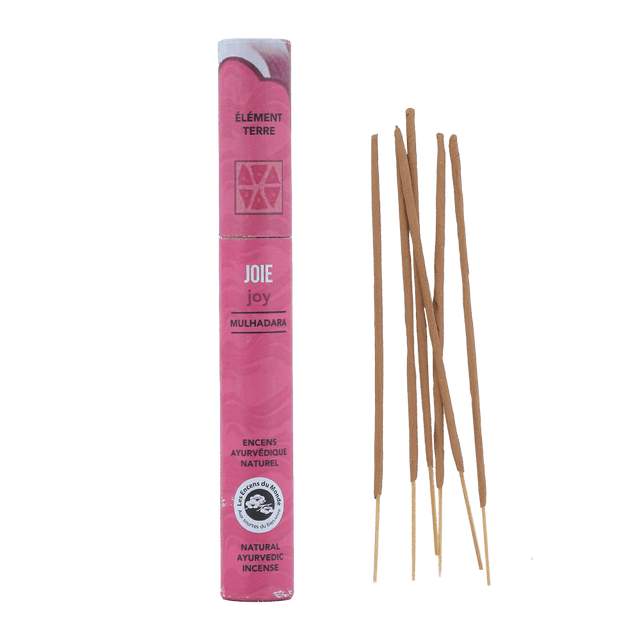Encens du monde Baton encens AYURVEDIQUE JOIE