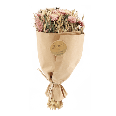 TEMERITY JONES Fleurs séchées Teoda Multicolore