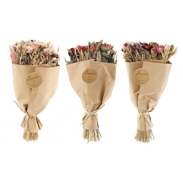 Temerity Jones Fleurs séchées TEODA