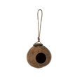 NOIX DE COCO