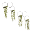 HEXA