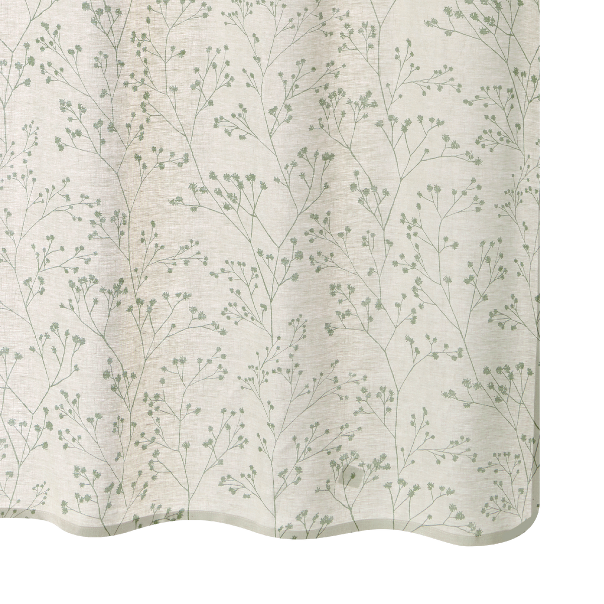 4MURS Rideau Lin Ipsa Eucalyptus