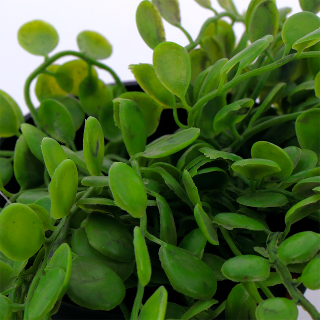 Plante artificielle ELAIA