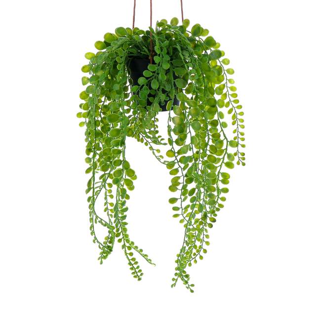 Plante artificielle ELAIA