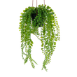 ELAIA