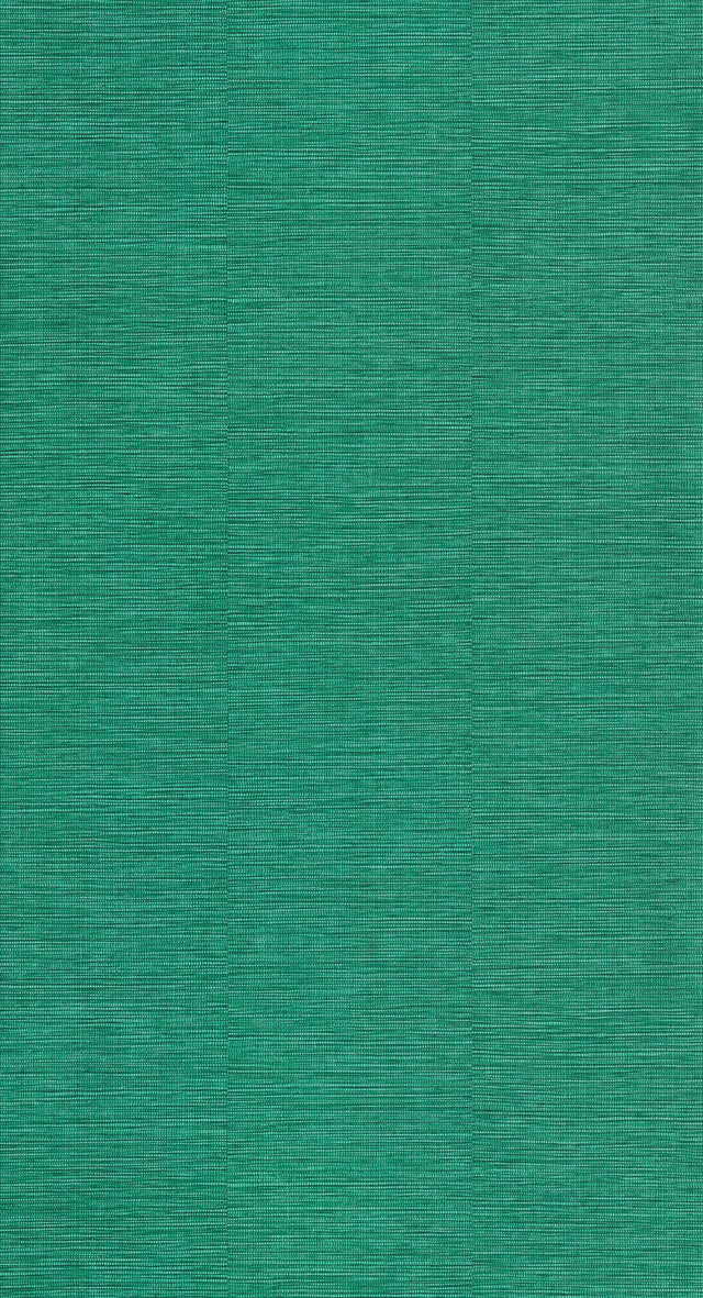 Papier peint intissé CURAÇAO coloris vert émeraude