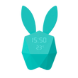 CUTTY CLOCK RABBIT