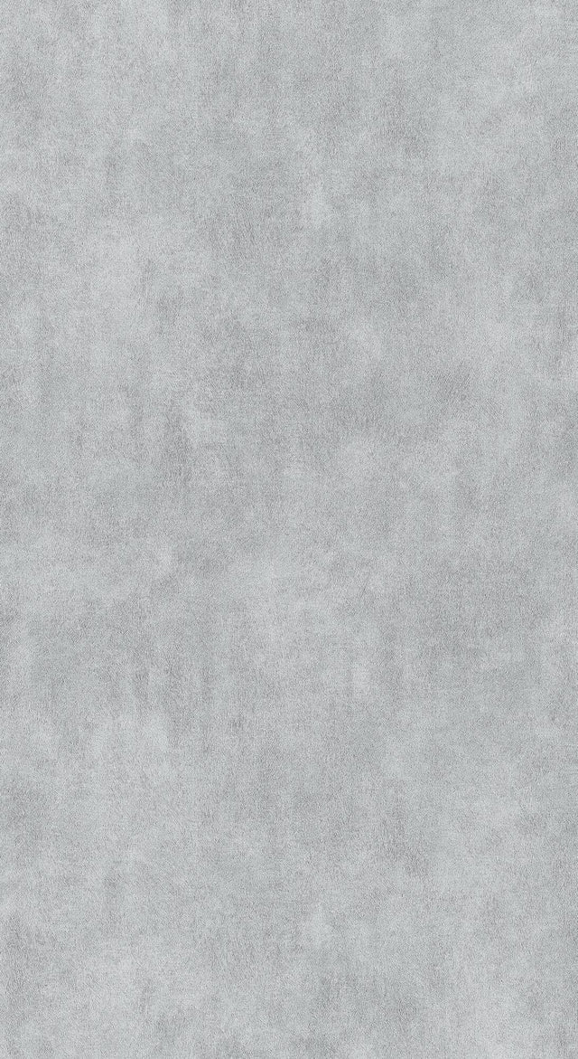 Papier peint intissé CLASSIC LINE coloris gris béton