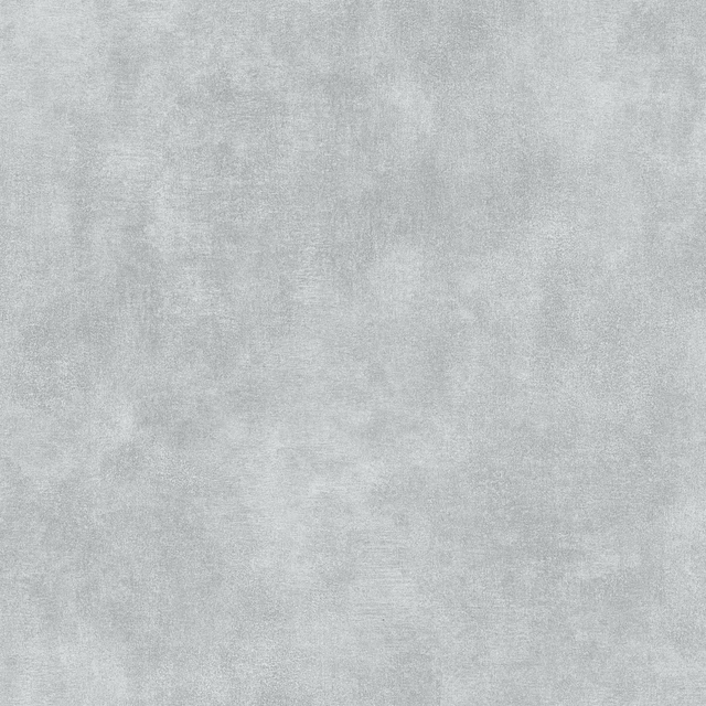 Papier peint intissé CLASSIC LINE coloris gris béton