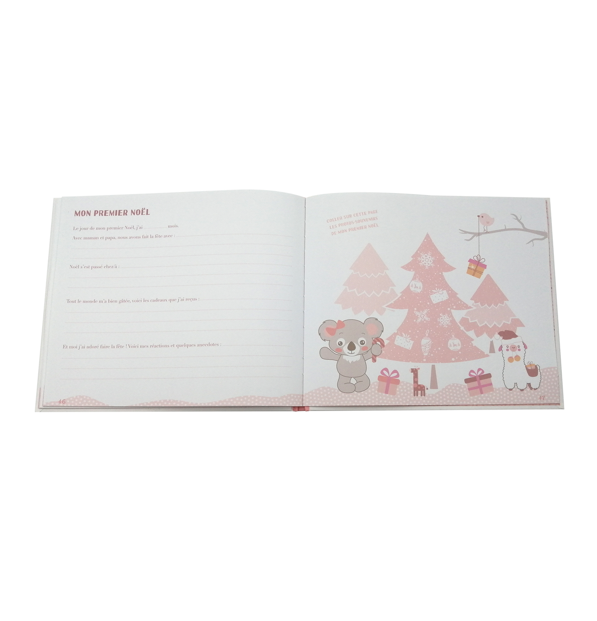 Livre enfant Album de naissance koala Blanc
