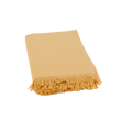 PARMA