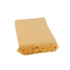 PARMA