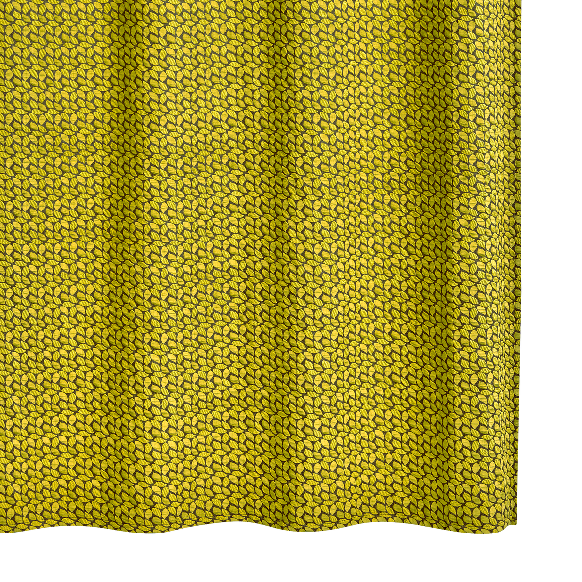 Rideau Lori Olive