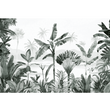 WILD WILD COLORS EVERGREEN XL