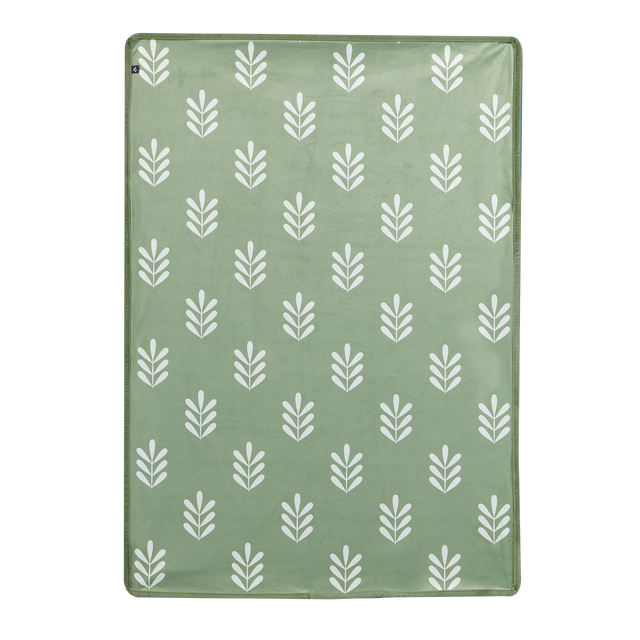 Tapis ALOIS coloris vert clair 70 x 100 cm
