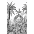PARADISIO