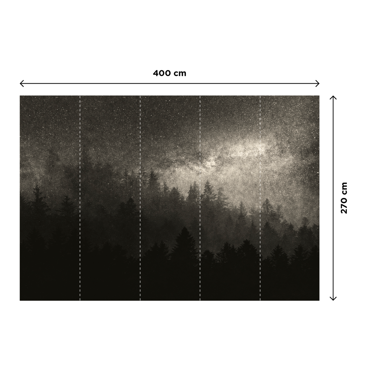 4MURS Papier peint panoramique XL Milky way Anthracite Mat