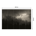 MILKY WAY