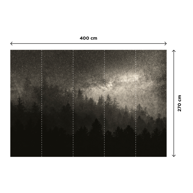 4MURS Papier peint panoramique XL MILKY WAY 400 x 270 cm