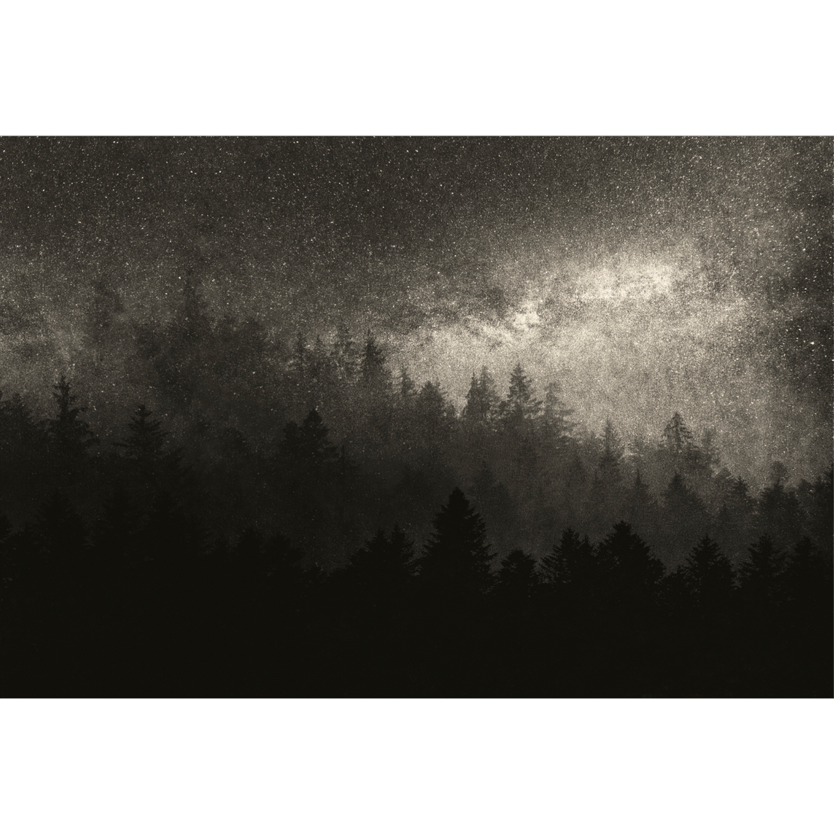 4MURS Papier peint panoramique XL Milky way Anthracite Mat