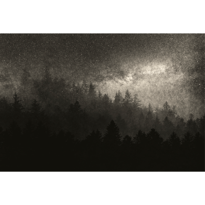 4MURS Papier peint panoramique XL Milky way Anthracite Mat