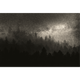 4MURS Papier peint panoramique XL Milky way Anthracite Mat