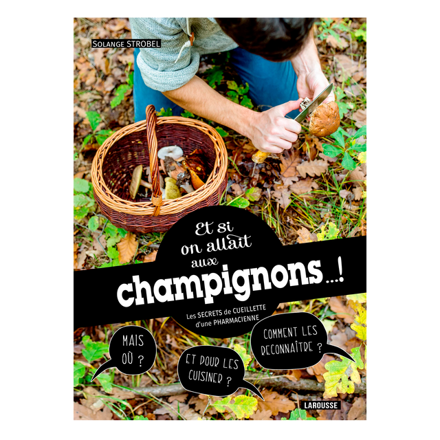 Livre voyage et nature ET SI ON ALLAIT AUX CHAMPIGNONS