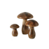 PILZ