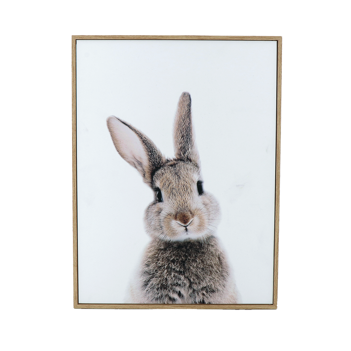 4MURS Tableau Daisy Blanc