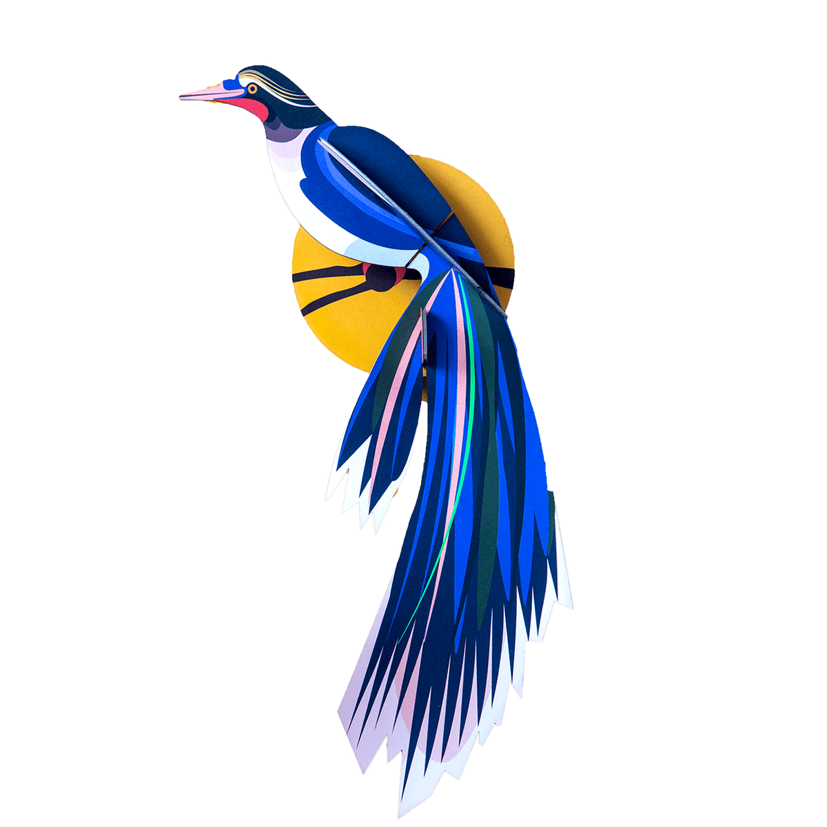 STUDIOROOF Kit Flores Bleu