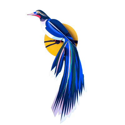 STUDIOROOF Kit Flores Bleu