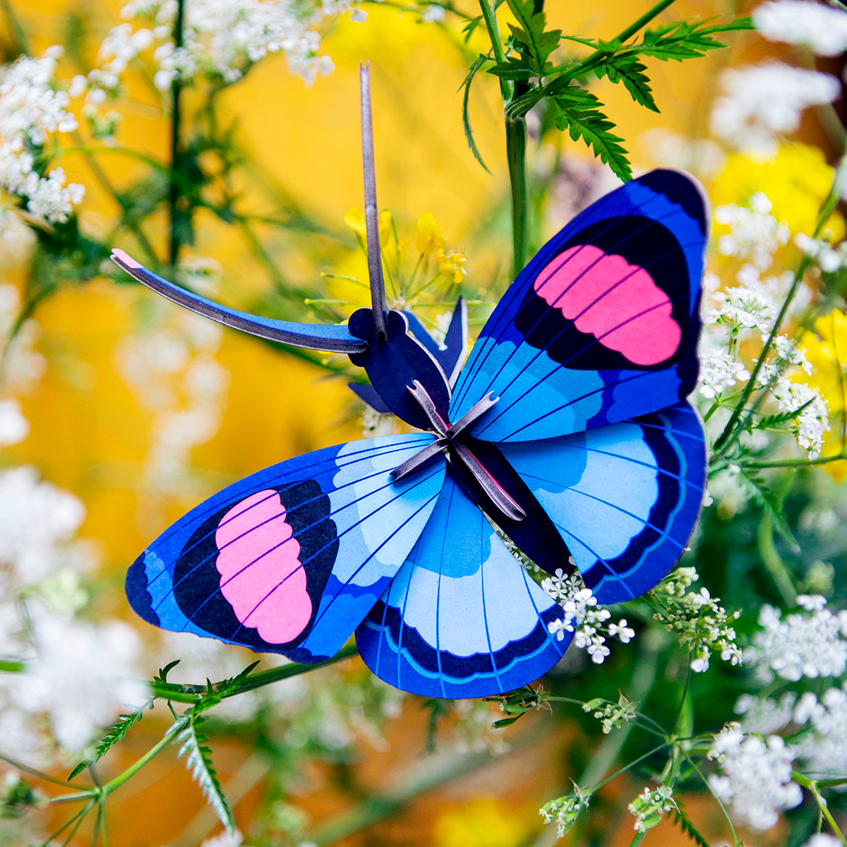 STUDIOROOF Kit Papillon paon Bleu