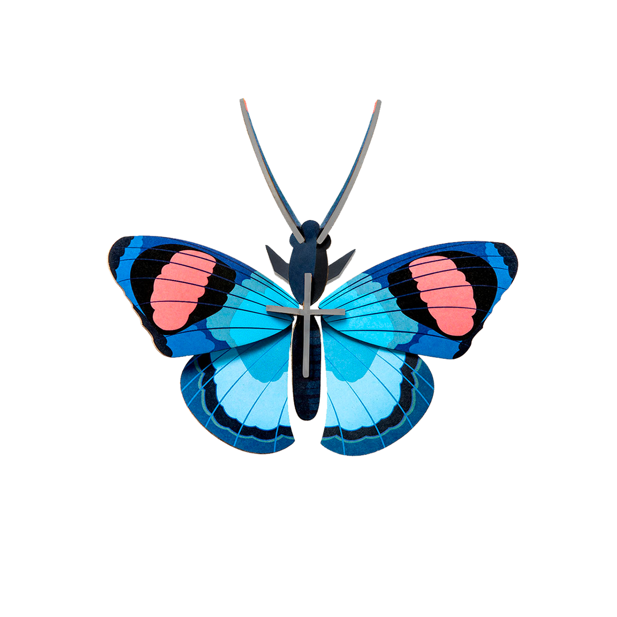 STUDIOROOF Kit Papillon paon Bleu