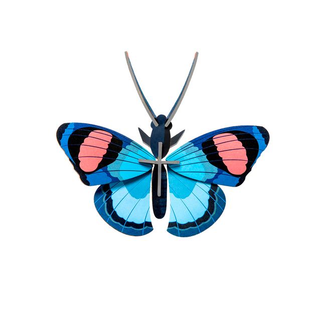 Studio ROOF Kit PAPILLON PAON