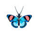 STUDIOROOF Kit Papillon paon Bleu