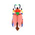 SCARABEE COCCINELLE