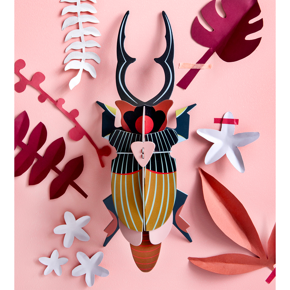 STUDIOROOF Kit Scarabee cerf volant Multicolore