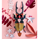STUDIOROOF Kit Scarabee cerf volant Multicolore