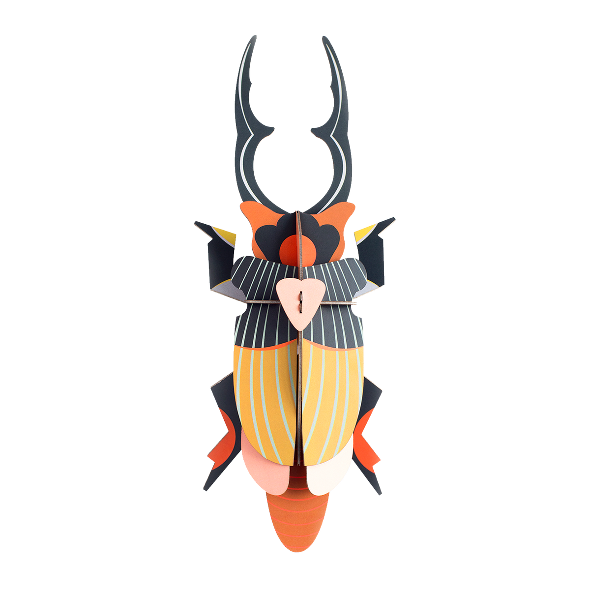 STUDIOROOF Kit Scarabee cerf volant Multicolore